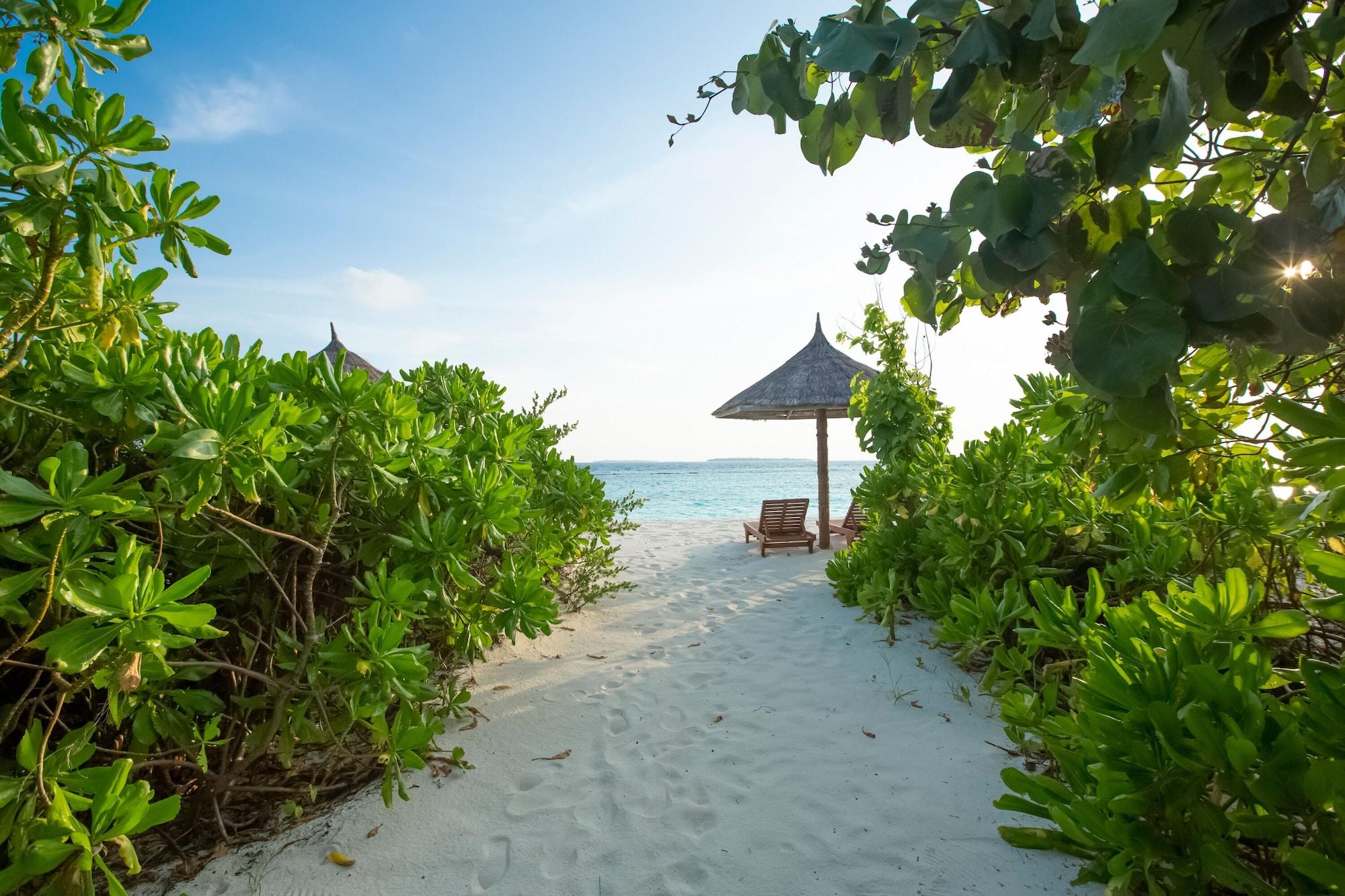 Reethi Faru, Bio Luxury Resort Meedhoo  Esterno foto